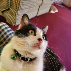 Meet your Posher, Jackie